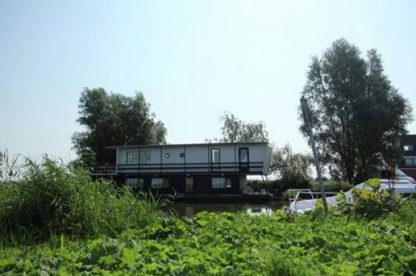 Boat Waterflower in Oostknollendam