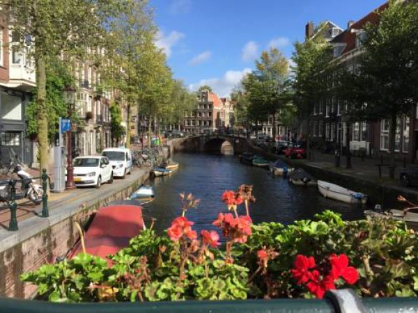 Tulips from Amsterdam in Amsterdam