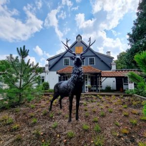 Hotel Veluwe de Beyaerd in Hulshorst