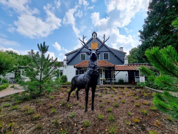 Hotel Veluwe de Beyaerd in Hulshorst